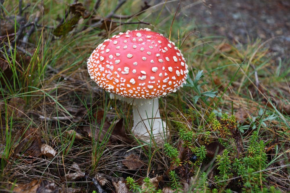 Photograph by Хазан Сергей