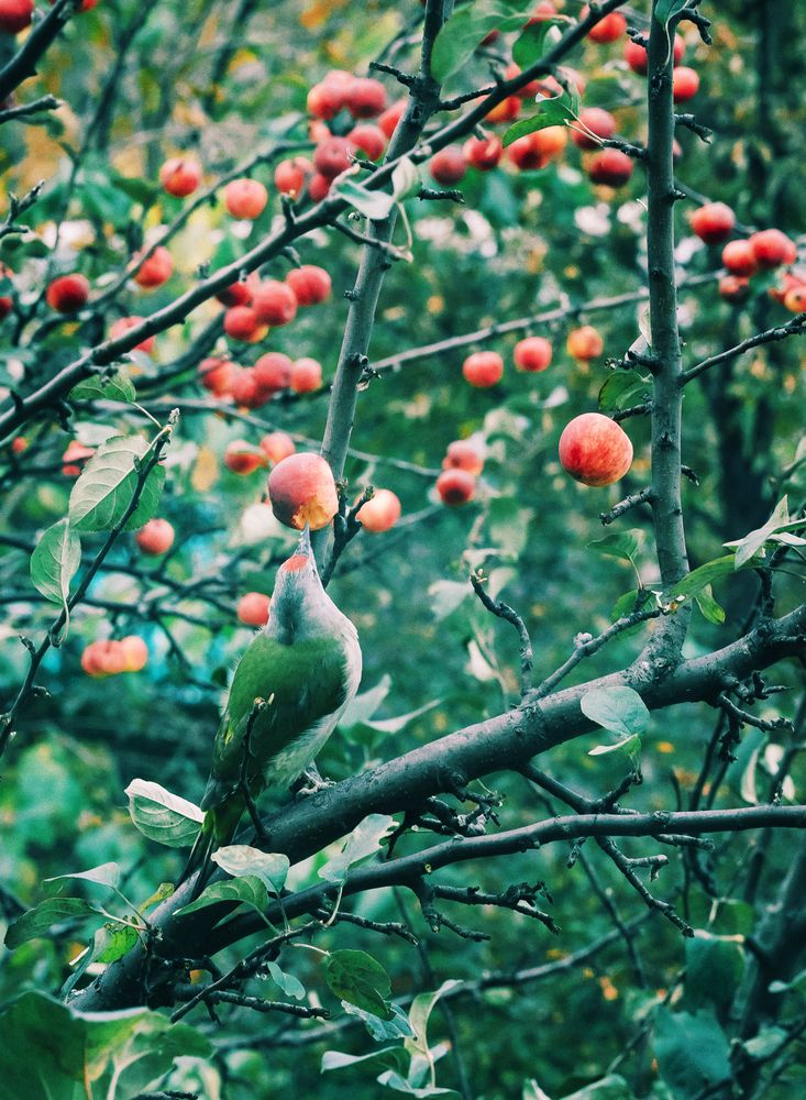 Photograph by Николай Захаров