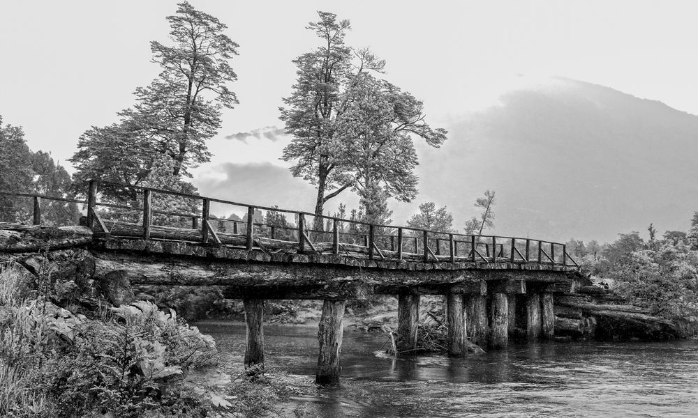 River Crossing in the Wild
