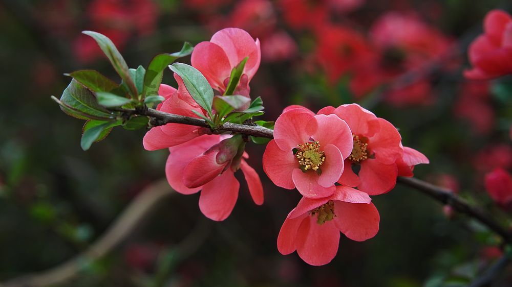 Photograph by Вадим Карпов