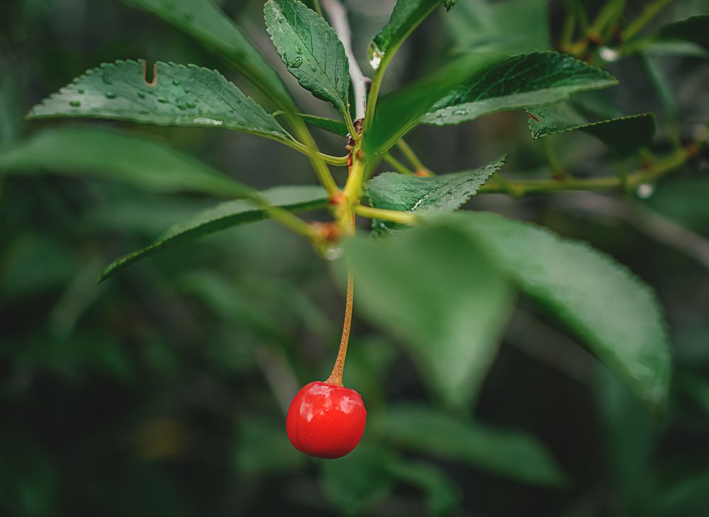 Photograph by Олег Белан