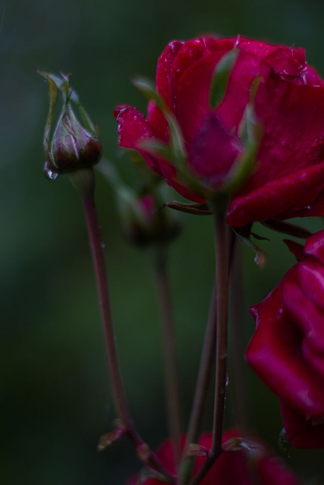 Photograph by Татьяна Ремизова