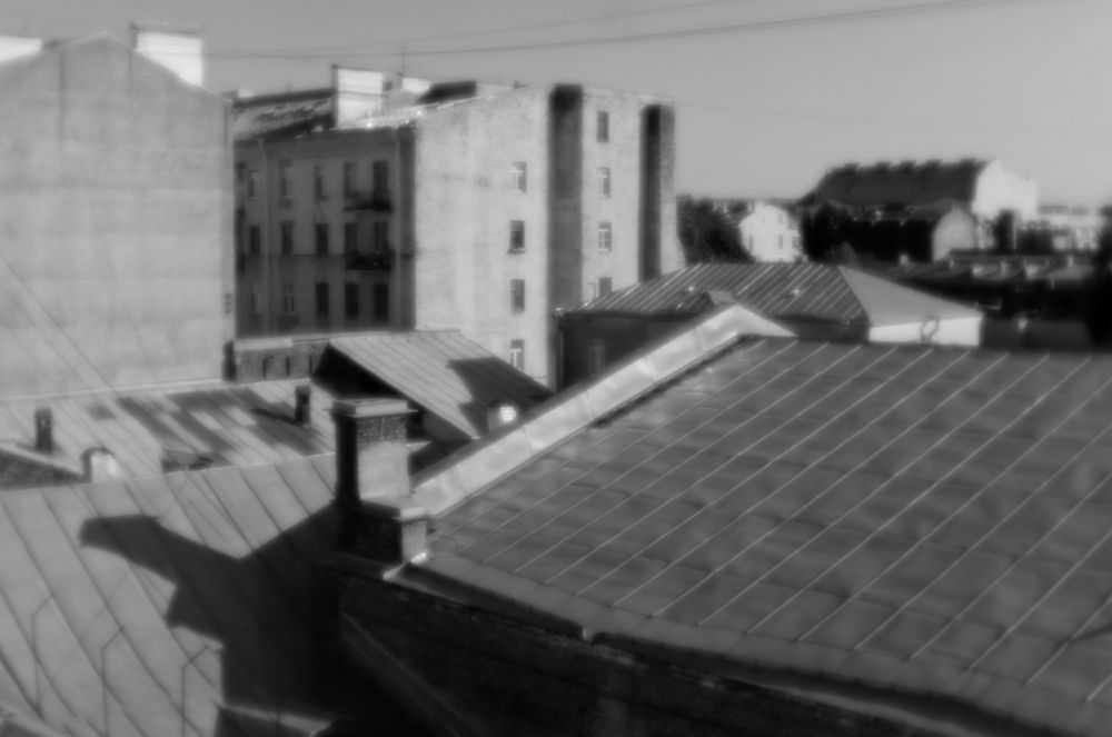 Фотография автора Глеб Рубашкин