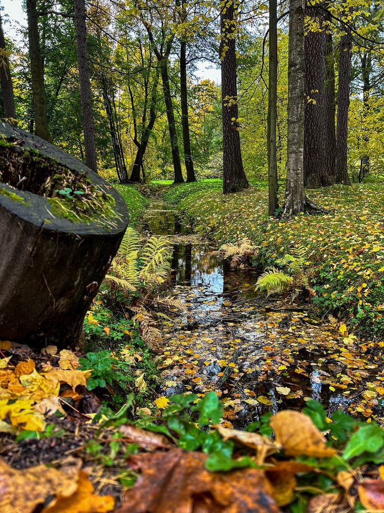 Photograph by Татьяна Шмакова