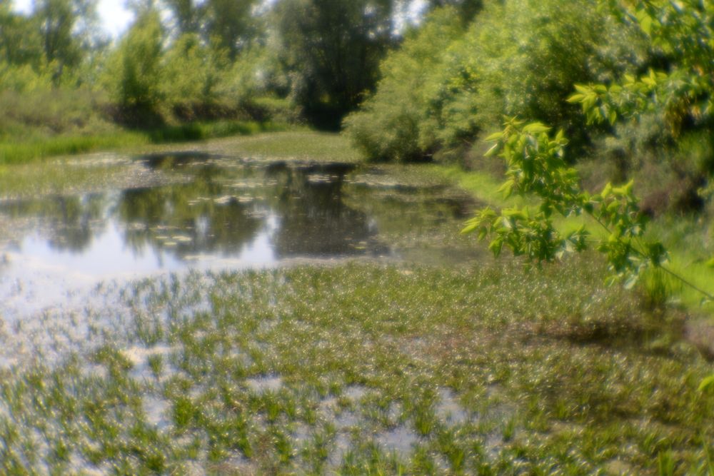 Photograph by Глеб Рубашкин