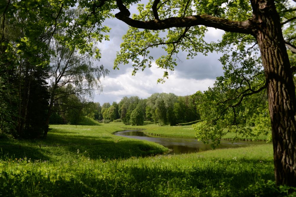 Фотография автора Глеб Рубашкин