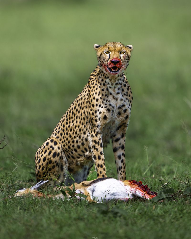 Photograph by madhur nangia