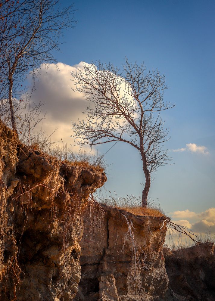 Photograph by Васильев Игорь