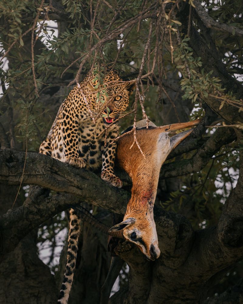 Photograph by madhur nangia