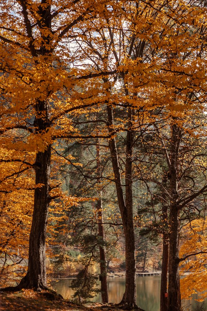 Photograph by Нина Зайцева