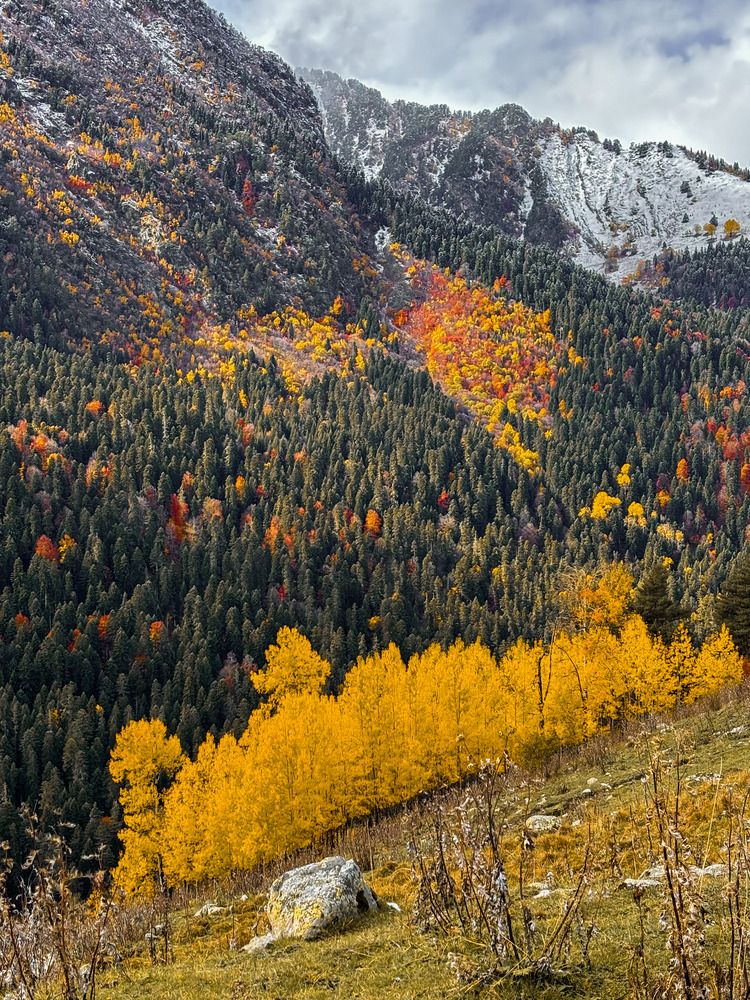 Photograph by Иван Весельников