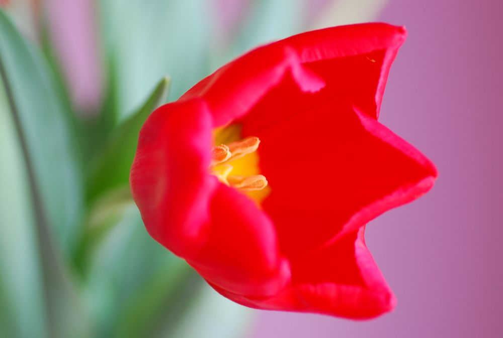 Photograph by Оксана Трофименко