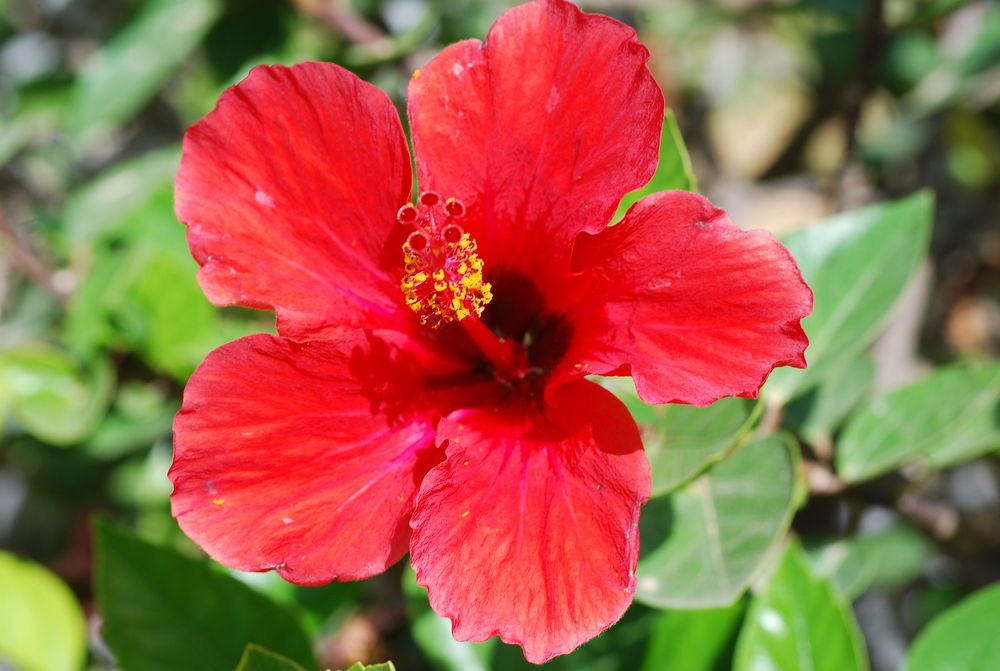 Photograph by Оксана Трофименко