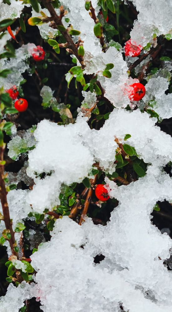 Фотография автора Наталья Агапова