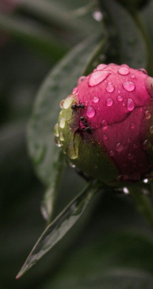 Photograph by Наталья Агапова