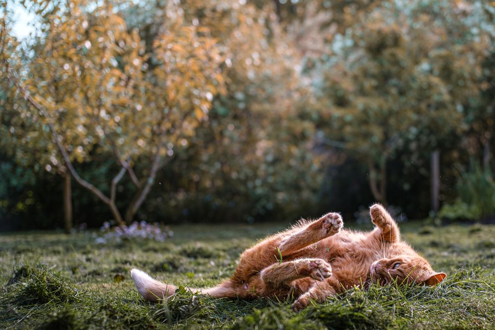 Photograph by Veronika Biró
