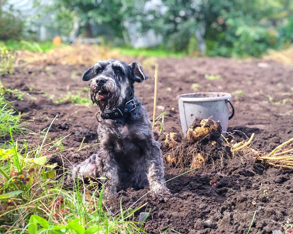 Photograph by Ксения Орлова