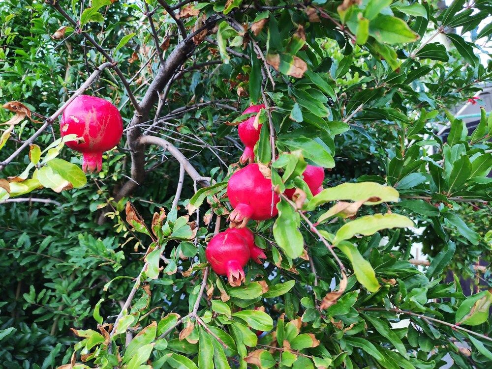 Photograph by Олеся