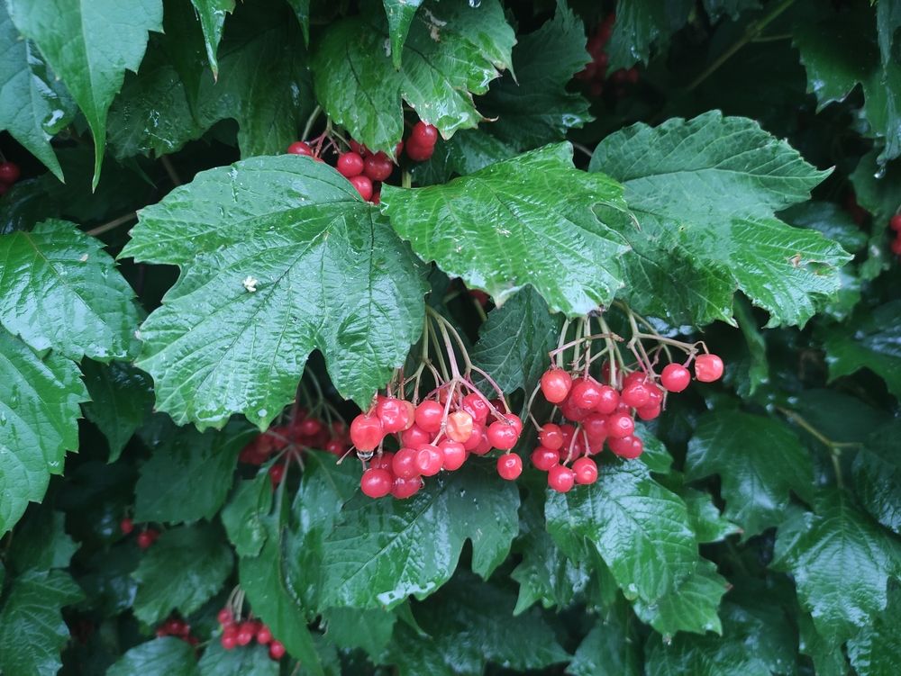 Photograph by Олеся