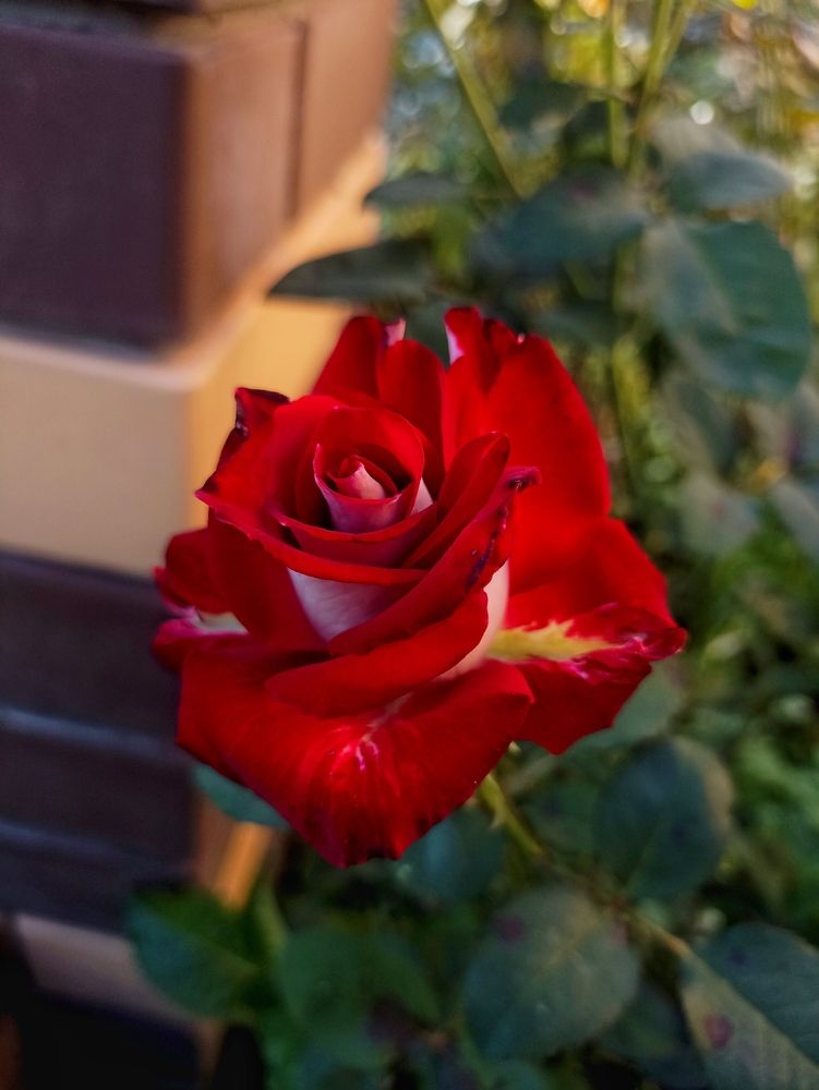 Photograph by Ольга Стариченко