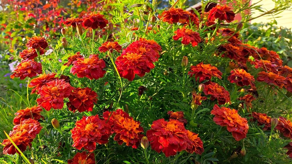 Фотография автора Зыбин Владимир