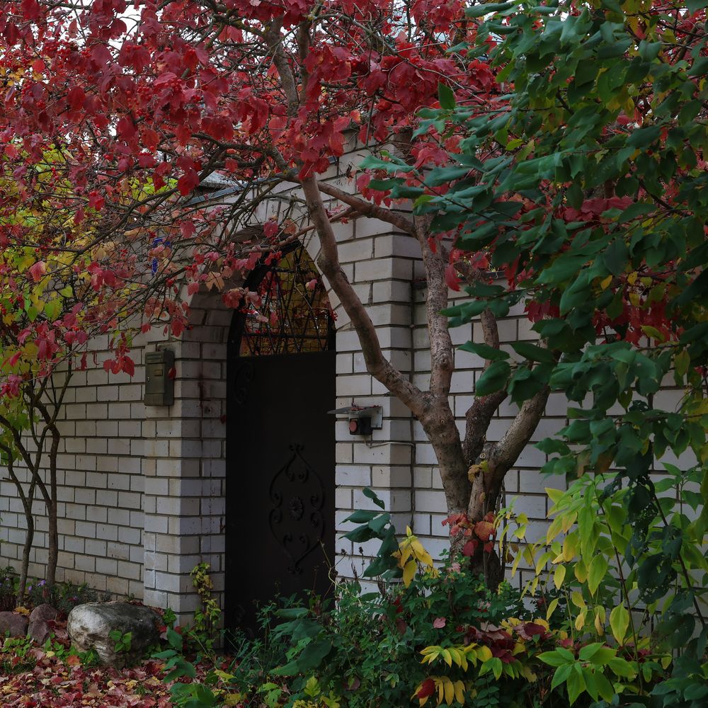 Photograph by Дашима