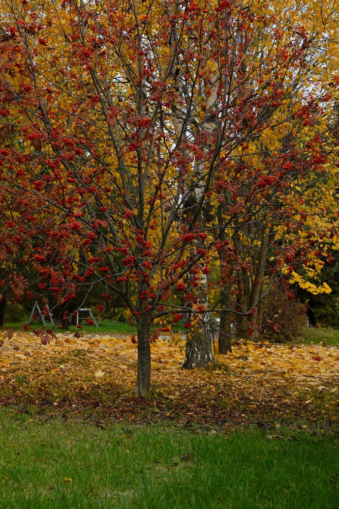 Photograph by Дашима