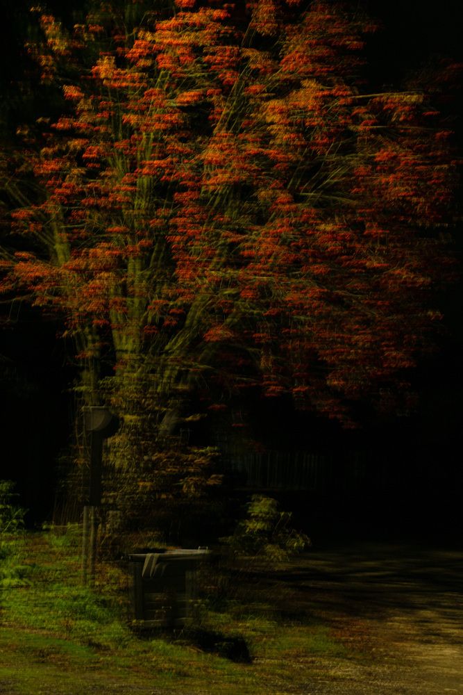 Photograph by Дашима