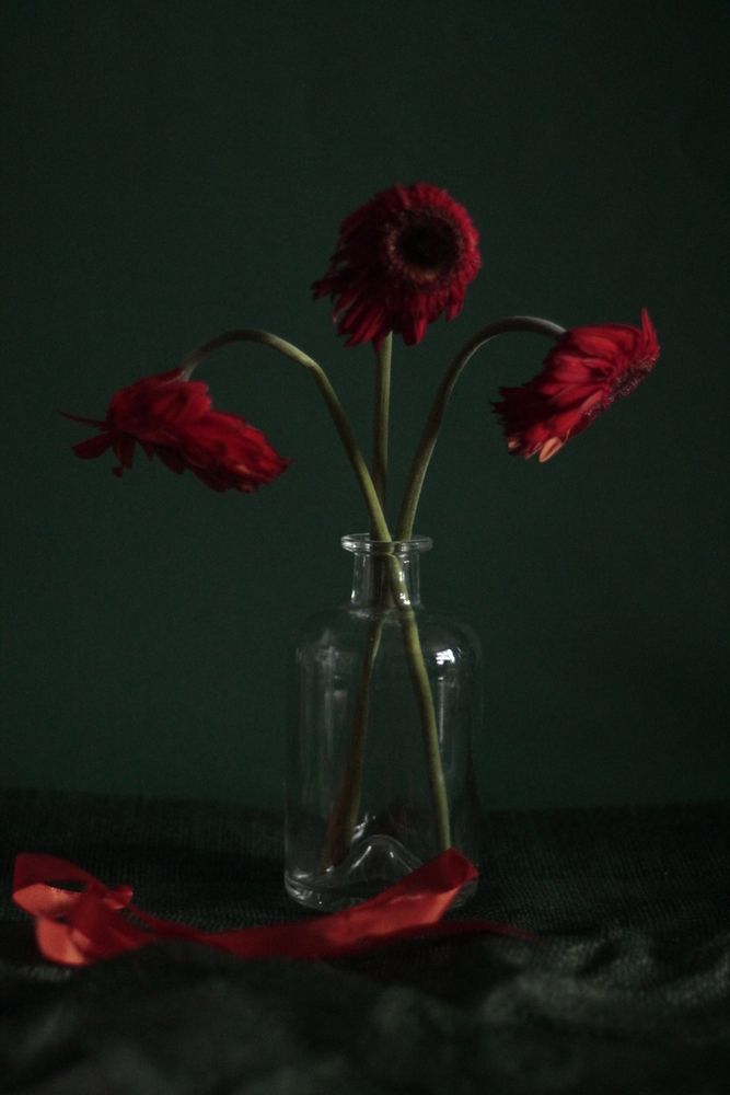 Photograph by Татьяна Гатиятуллина
