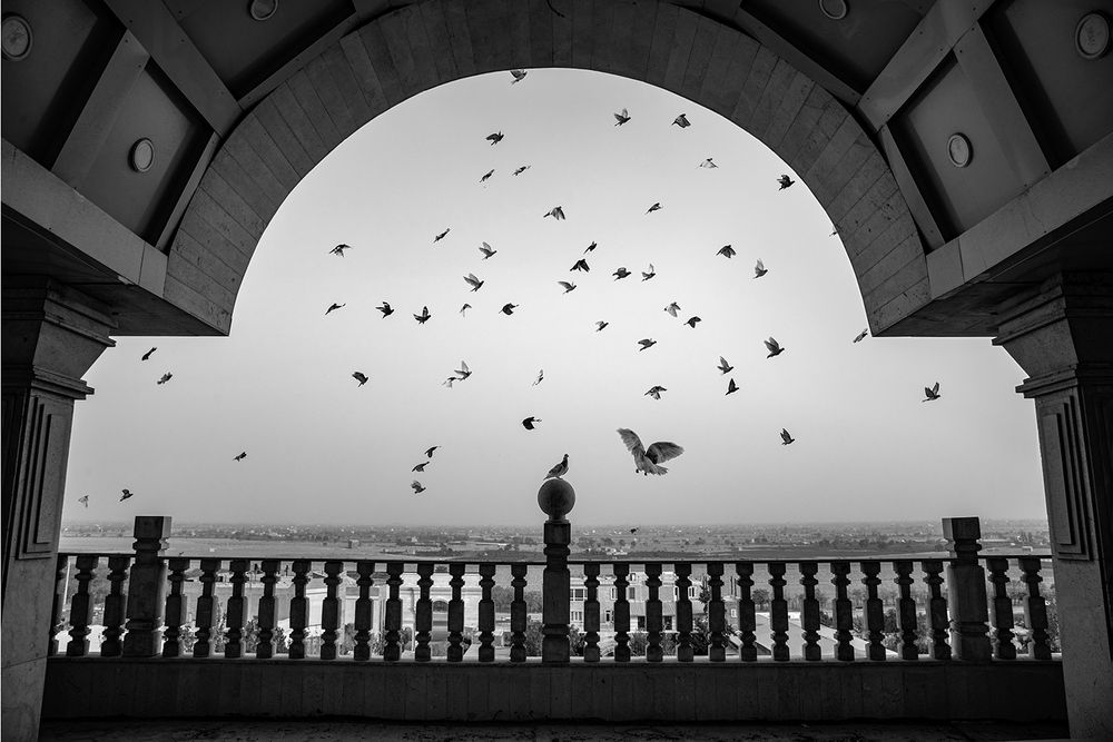 Photograph by shahla kalantary