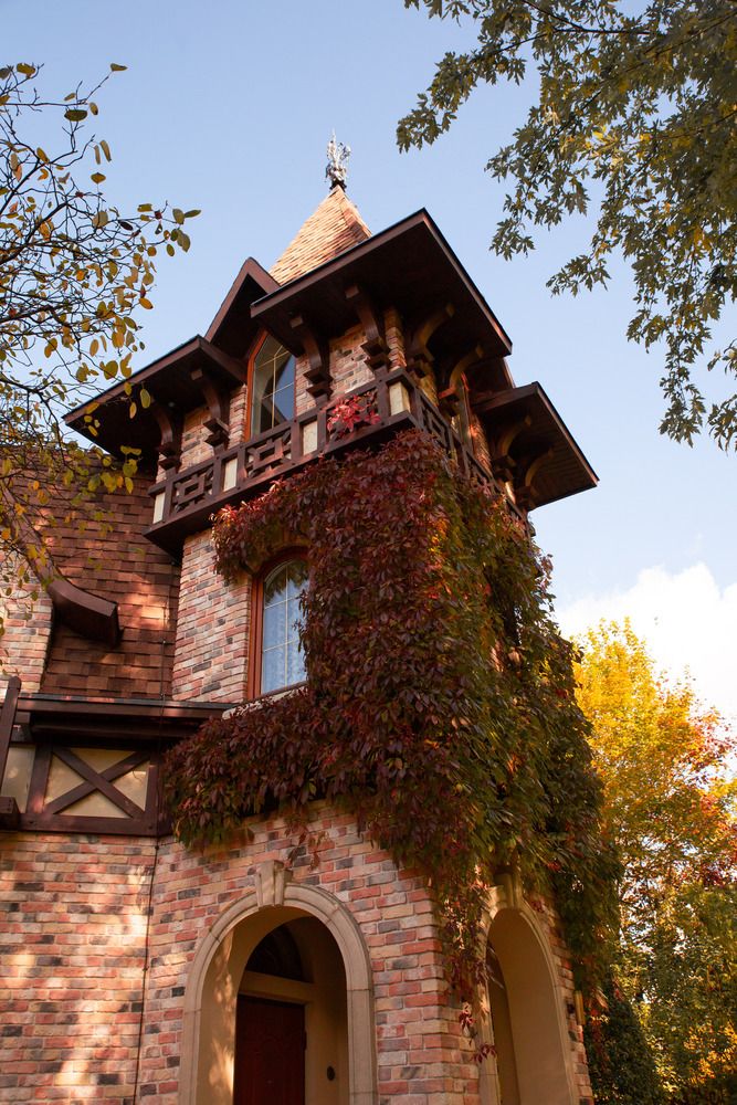 Photograph by Ольга