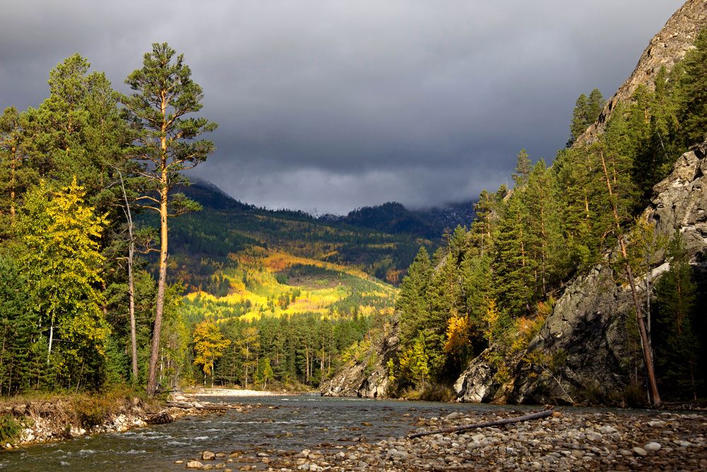 Photograph by Виктор Калинский