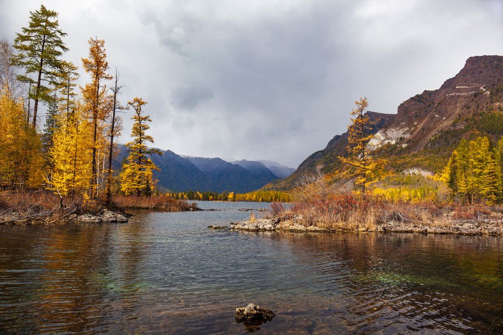 Photograph by Виктор Калинский
