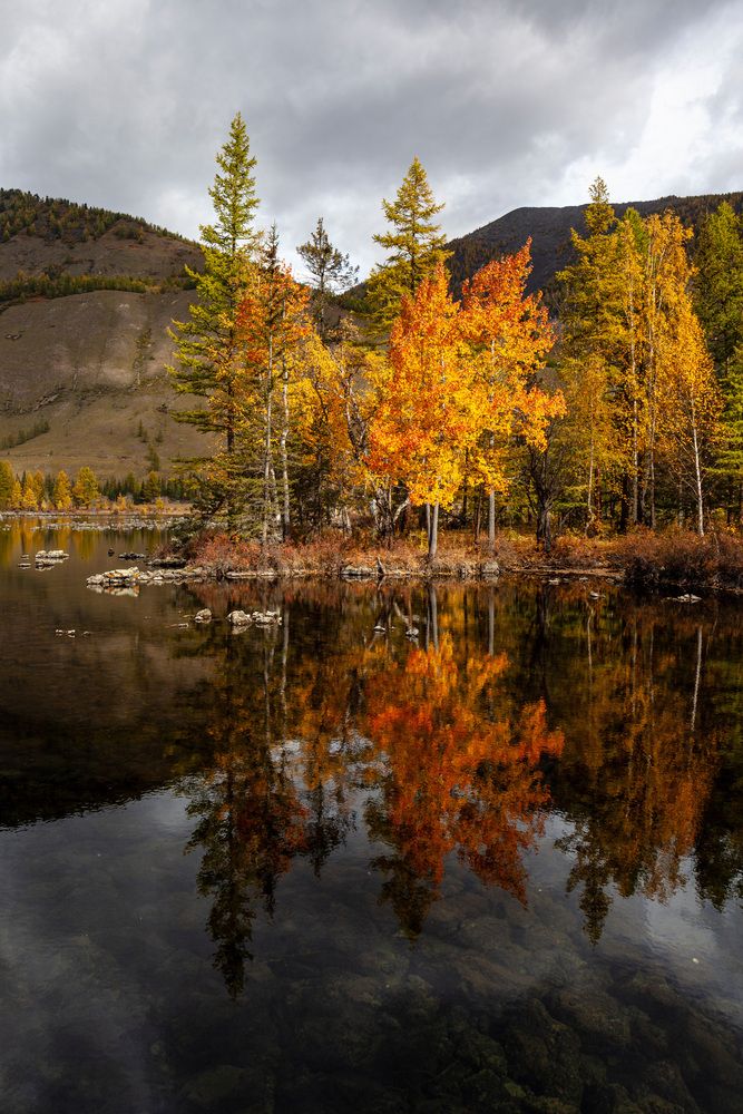 Photograph by Виктор Калинский