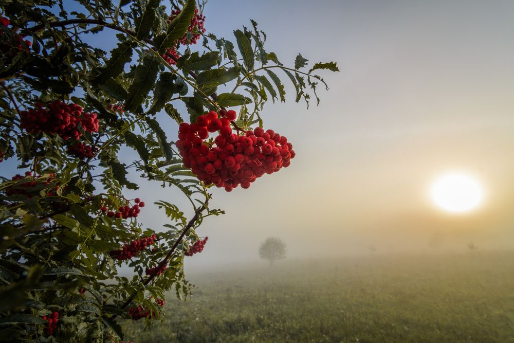 Photograph by Олег Бережных