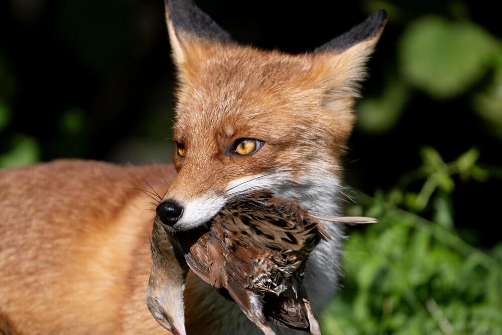 Photograph by Белов Александр