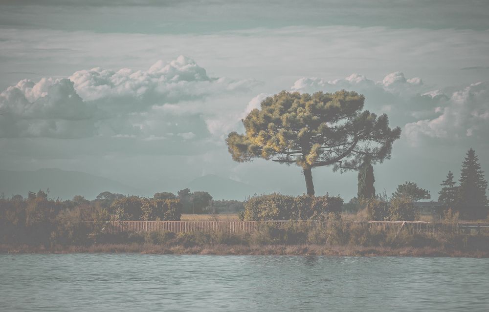 Photograph by Szilvia Farkas