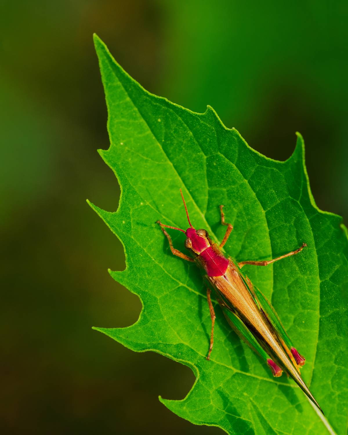 Фотография #12755191