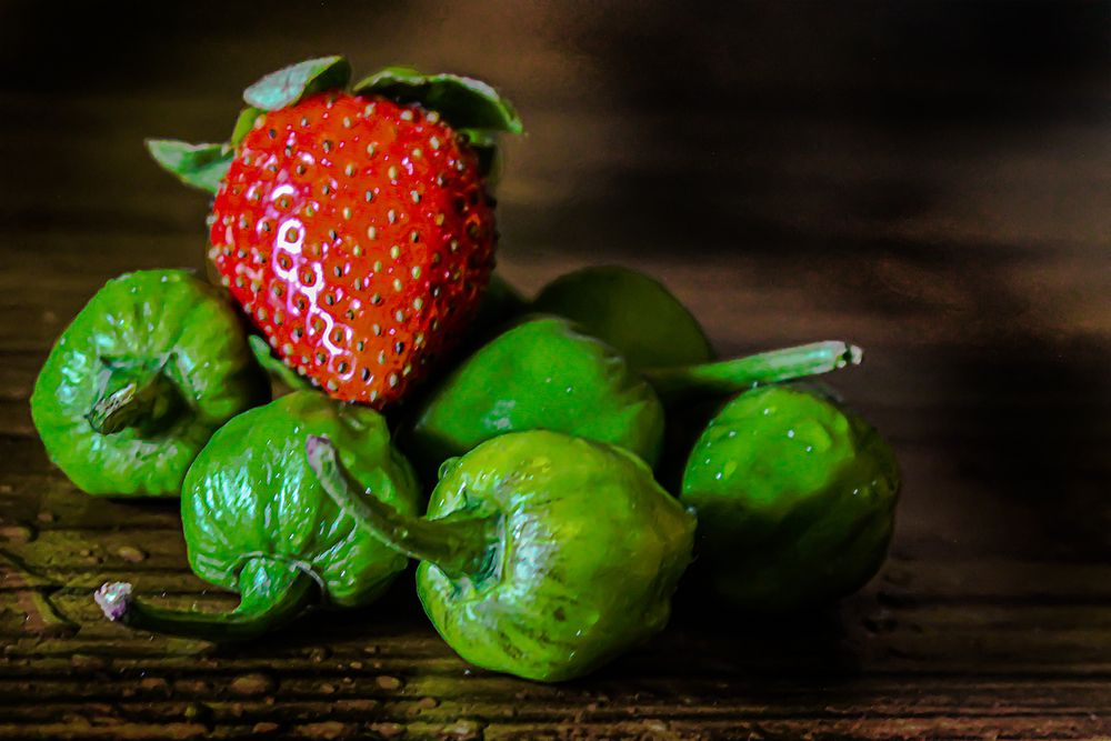 Photograph by Saumi Biswas