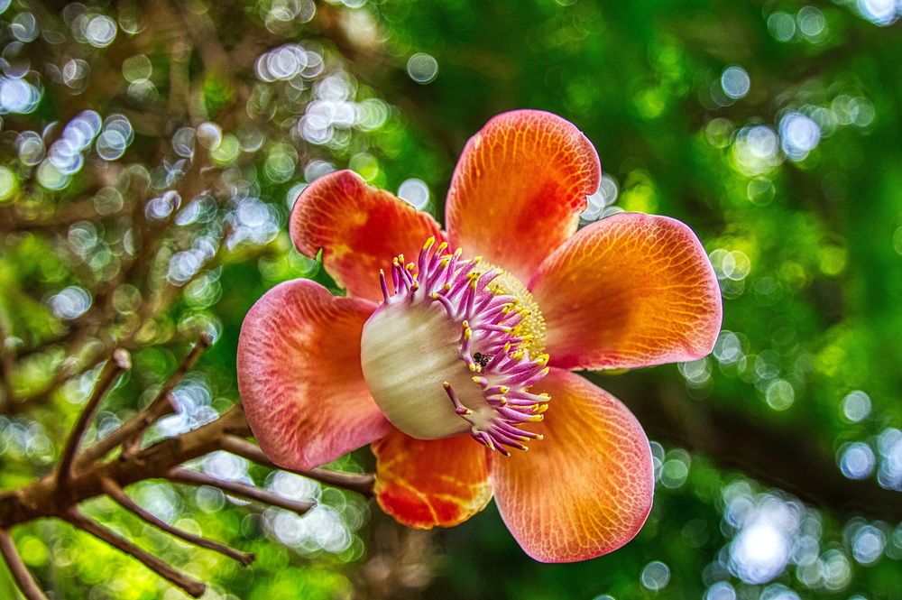 Photograph by Андрей Хитров