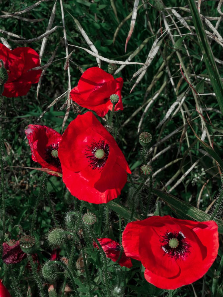 Фотография автора Ольга Матвеева