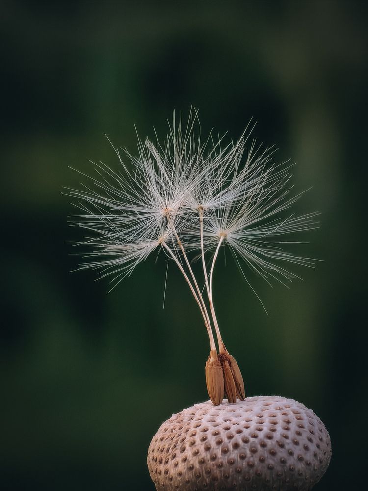 Photograph by Татьяна Котова
