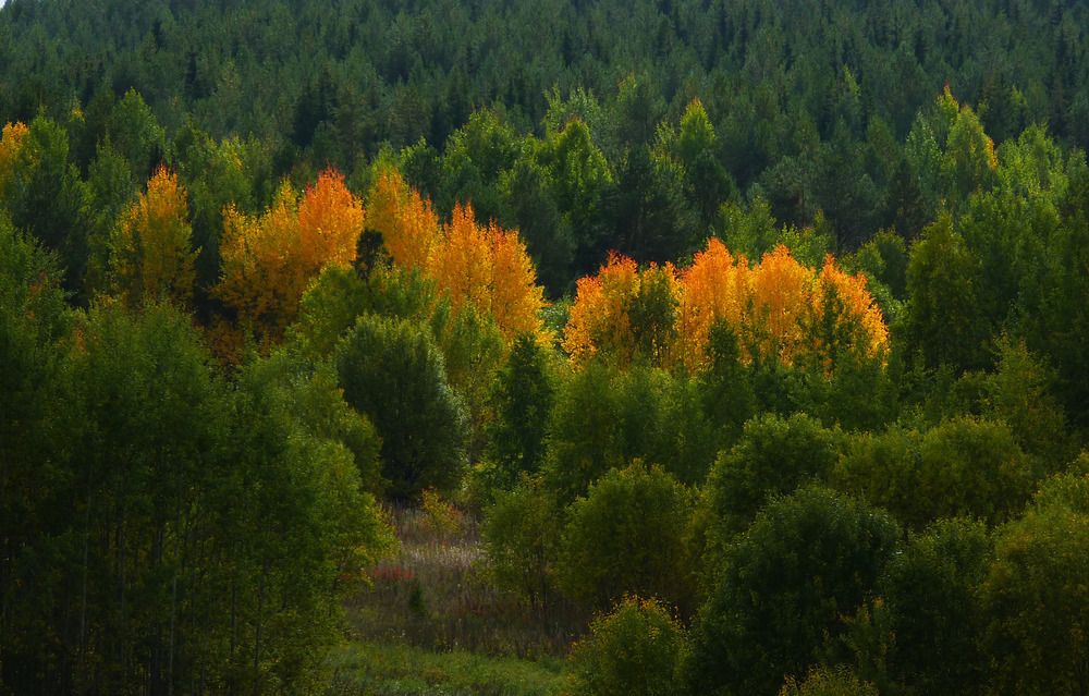 Photograph by Валерий Алфимов