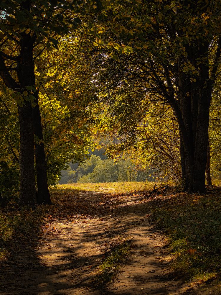 Photograph by Татьяна Котова