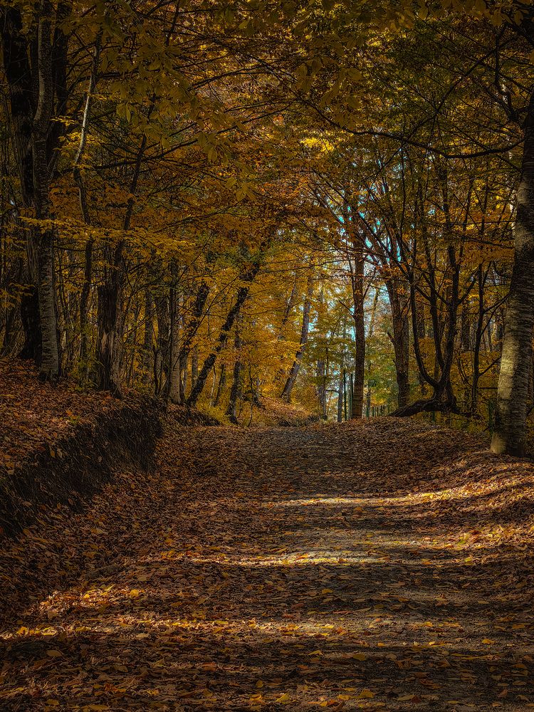 Photograph by Татьяна Котова