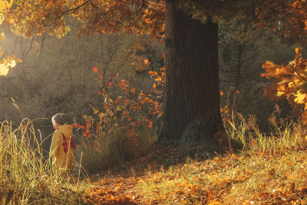 Photograph by Александра Щирова