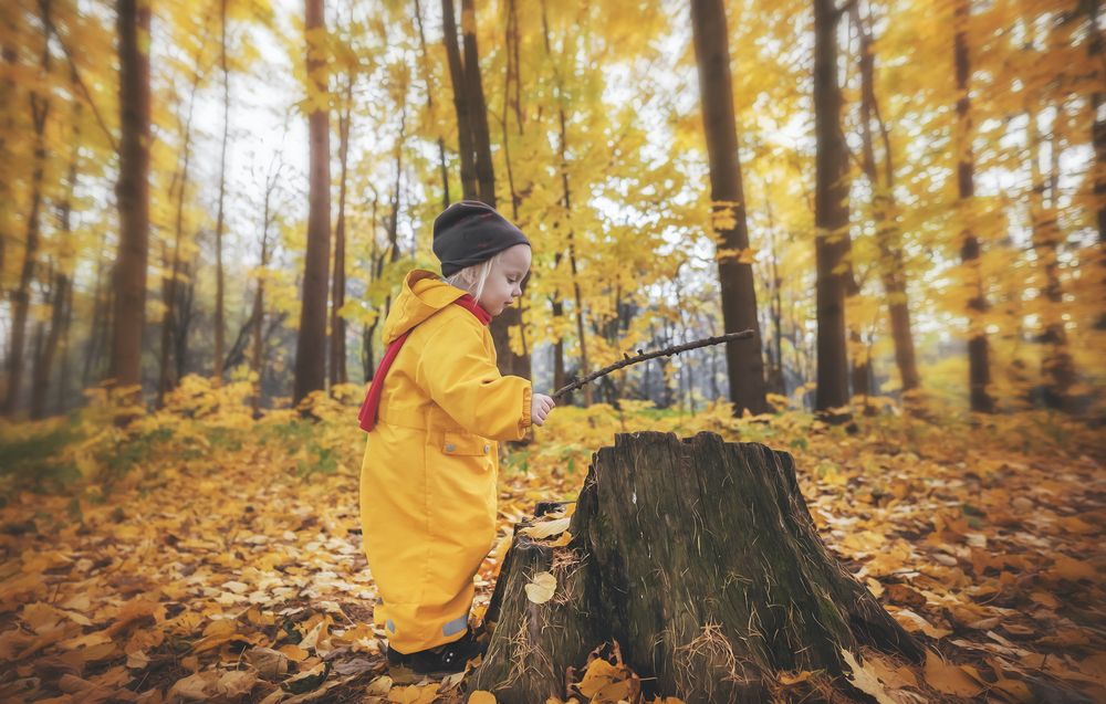 Photograph by Александра Щирова