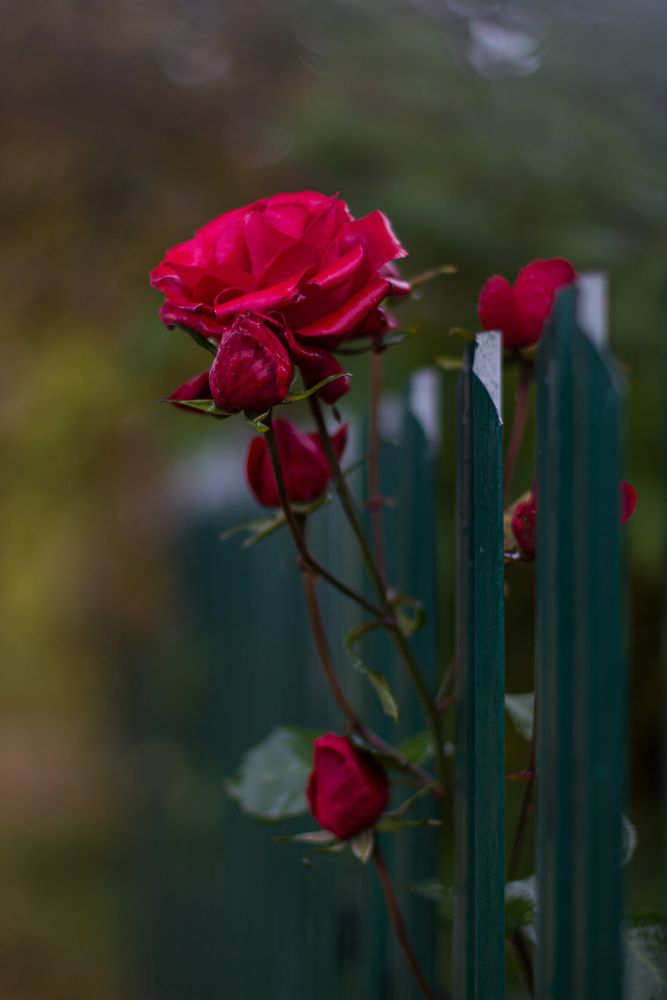 Photograph by Татьяна Ремизова