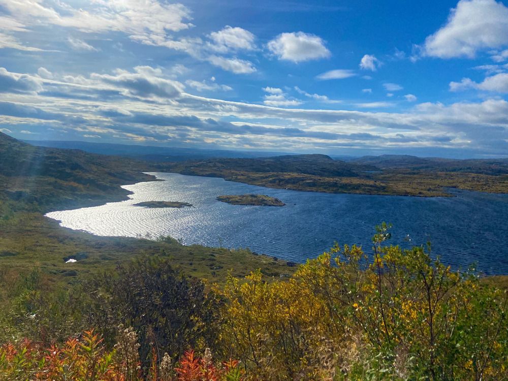 Фотография автора Татьяна Савранчук