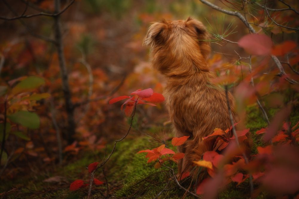 Photograph by Ирина Корх